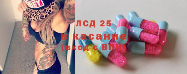 гидра Покачи