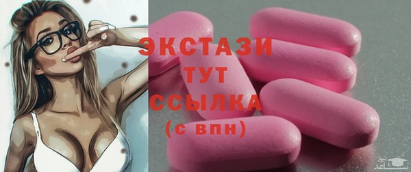 гидра Покачи