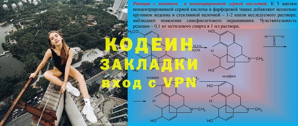 гидра Покачи