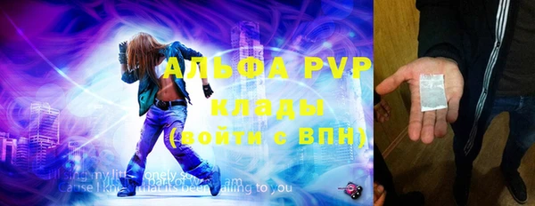 гидра Покачи