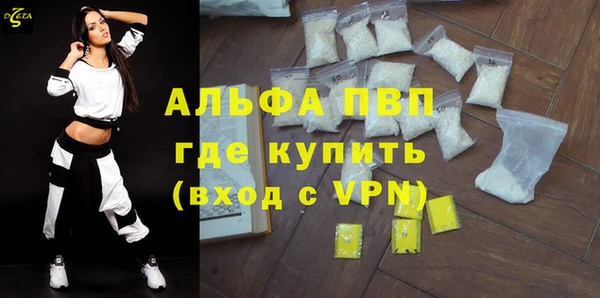 гидра Покачи